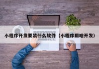小程序开发要装什么软件（小程序用啥开发）