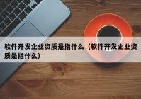 软件开发企业资质是指什么（软件开发企业资质是指什么）