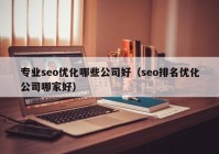 专业seo优化哪些公司好（seo排名优化公司哪家好）