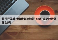 软件开发转行做什么比较好（软件实施转行做什么好）