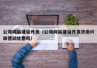 公司网站建设开发（公司网站建设开发济南兴田德润优惠吗）