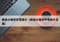 微信小程序开发简介（微信小程序开发简介文案）