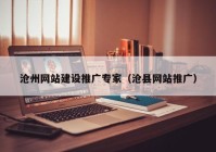 沧州网站建设推广专家（沧县网站推广）