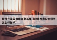 软件开发公司排名怎么样（软件开发公司排名怎么样知乎）
