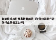智能终端软件开发行业前景（智能终端软件开发行业前景怎么样）