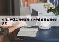 小程序开发公司哪里强（小程序开发公司哪家好?）
