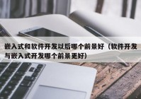 嵌入式和软件开发以后哪个前景好（软件开发与嵌入式开发哪个前景更好）