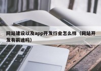 网站建设以及app开发行业怎么样（网站开发有前途吗）