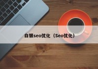 白银seo优化（Seo优化）