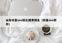 山东抖音seo优化搜索排名（抖音seo软件）