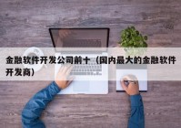 金融软件开发公司前十（国内最大的金融软件开发商）