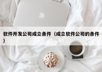 软件开发公司成立条件（成立软件公司的条件）
