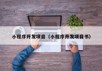 小程序开发项目（小程序开发项目书）