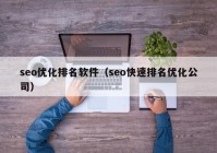 seo优化排名软件（seo快速排名优化公司）