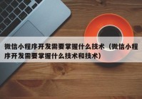 微信小程序开发需要掌握什么技术（微信小程序开发需要掌握什么技术和技术）